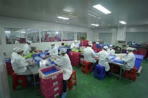 Kristallschleim mit Schaumperlenspielzeug Beste chinesische Exporteure, Schaumperlenschleim China Best Maker